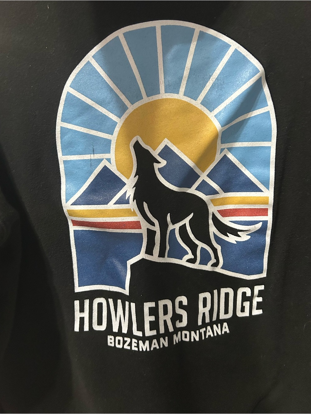 Men's Howlers Ridge Hoodie - Picture 4 of 8